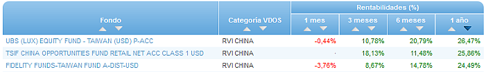 RVI Euro Small/mid Cap buscador rentabilidad 1 año