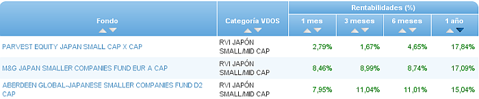renta variable internacional japon small mid cap rentabilidad 1 año
