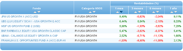 renta variable internacional usa growth rentabilidad un mes