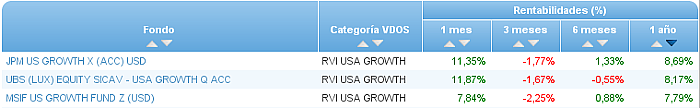 renta variable internacional usa growth rentabilidad 1 año