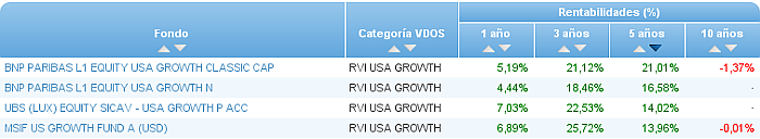 renta variable internacional usa growth rentabilidad 5 años