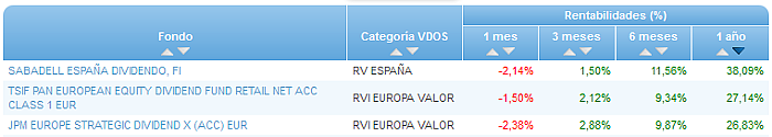 RVI USA Crecimiento buscador rentabilidad 1 año