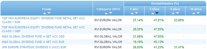 RVI USA Crecimiento buscador rentabilidad 3 años