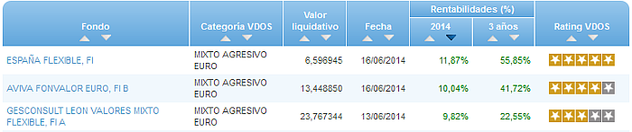 RVI Euro Small/mid Cap buscador rentabilidad año