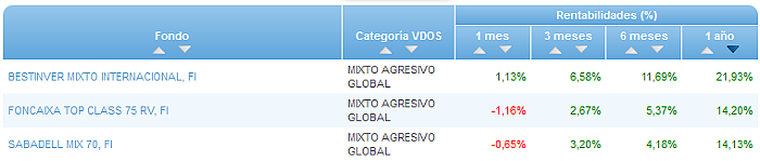 RVI USA Crecimiento buscador rentabilidad 1 año