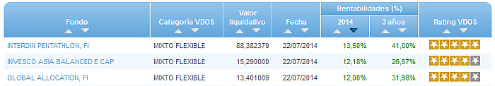 RVI Euro Small/mid Cap buscador rentabilidad año