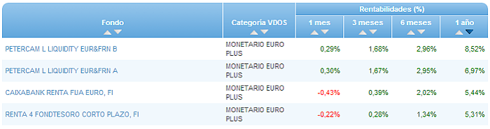 RVI USA Crecimiento buscador rentabilidad 1 año