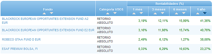 RVI USA Crecimiento buscador rentabilidad 1 año