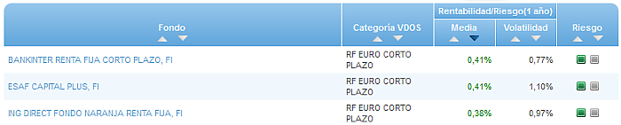 RVI Euro Small/mid Cap buscador rentabilidad media mensual