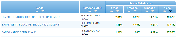 RVI Euro Small/mid Cap buscador rentabilidad 1 año
