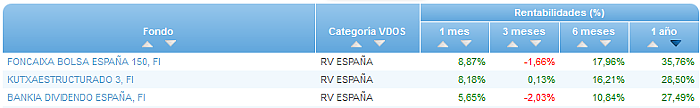 RVI Euro Small/mid Cap buscador rentabilidad 1 año