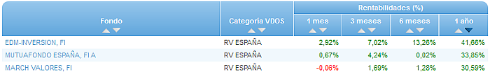 RVI USA Crecimiento buscador rentabilidad 1 año