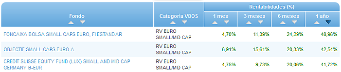 RVI USA Crecimiento buscador rentabilidad 1 año