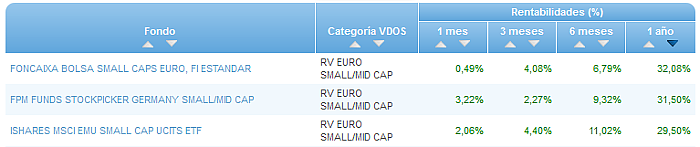 RVI Euro Small/mid Cap buscador rentabilidad 1 año