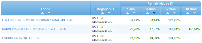 RVI Euro Small/mid Cap buscador rentabilidad 3 años
