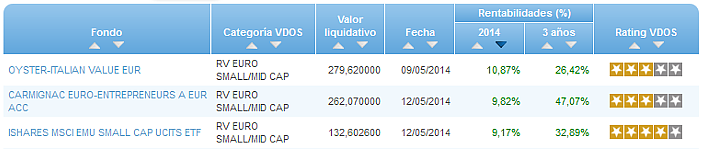 RVI Euro Small/mid Cap buscador rentabilidad año