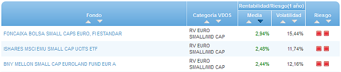 RVI Euro Small/mid Cap buscador rentabilidad media mensual