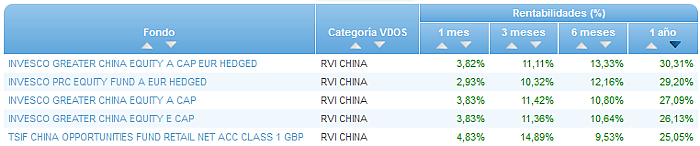 RVI USA Crecimiento buscador rentabilidad 1 año