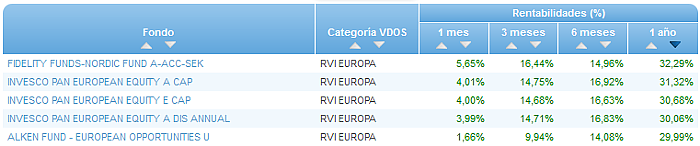 RVI USA Crecimiento buscador rentabilidad 1 año