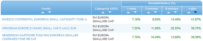 RVI USA Crecimiento buscador rentabilidad 1 año