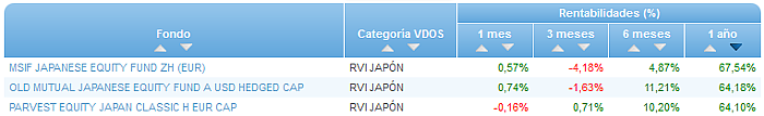 RVI USA Crecimiento buscador rentabilidad 1 año