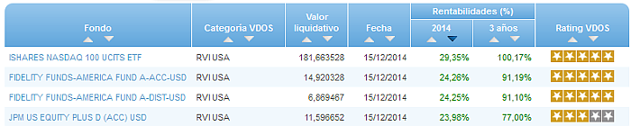 RVI Euro Small/mid Cap buscador rentabilidad año