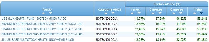 RVI Euro Small/mid Cap buscador rentabilidad 1 año