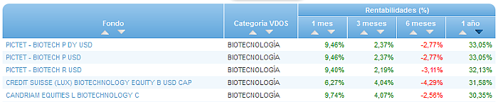 Renta Variable Internacional Europa Small/Mid Cap buscador rentabilidad 1 año