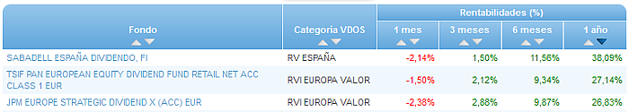 RVI USA Crecimiento buscador rentabilidad 1 año
