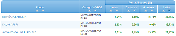 RVI Euro Small/mid Cap buscador rentabilidad 1 año