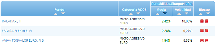 RVI Euro Small/mid Cap buscador rentabilidad media mensual