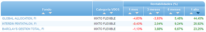 RVI Euro Small/mid Cap buscador rentabilidad 1 año