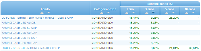 RVI Euro Small/mid Cap buscador rentabilidad 3 años