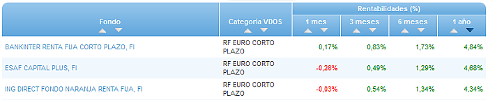 RVI Euro Small/mid Cap buscador rentabilidad 1 año