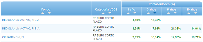 RVI Euro Small/mid Cap buscador rentabilidad 3 años