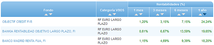 RV Euro buscador rentabilidad 1 año