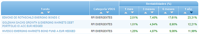 RVI Euro Small/mid Cap buscador rentabilidad 1 año