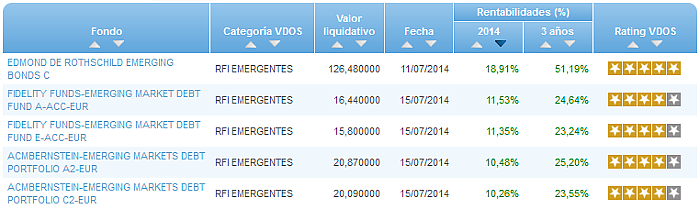 RVI Euro Small/mid Cap buscador rentabilidad año