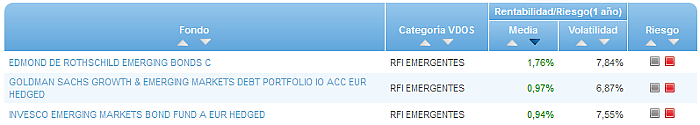RVI Euro Small/mid Cap buscador rentabilidad media mensual