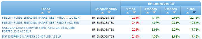 RVI Euro Small/mid Cap buscador rentabilidad 1 año