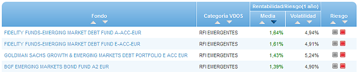 RVI Euro Small/mid Cap buscador rentabilidad media mensual