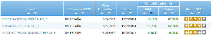 RVI Euro Small/mid Cap buscador rentabilidad año