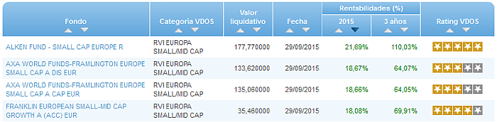 Renta Variable Internacional Europa Small/Mid Cap buscador rentabilidad año