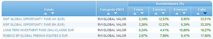 RVI Euro Small/mid Cap buscador rentabilidad 1 año
