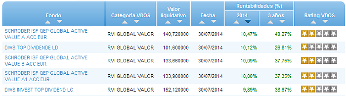 RVI Euro Small/mid Cap buscador rentabilidad año