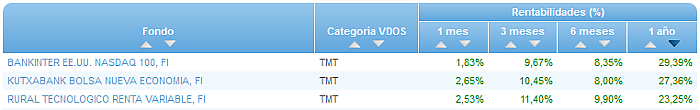 RVI Euro Small/mid Cap buscador rentabilidad 1 año