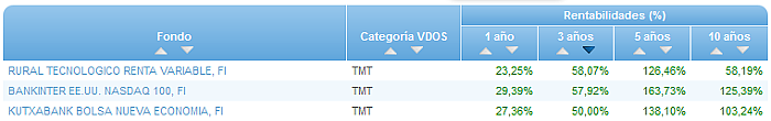 RVI Euro Small/mid Cap buscador rentabilidad 3 años
