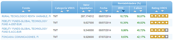 RVI Euro Small/mid Cap buscador rentabilidad año